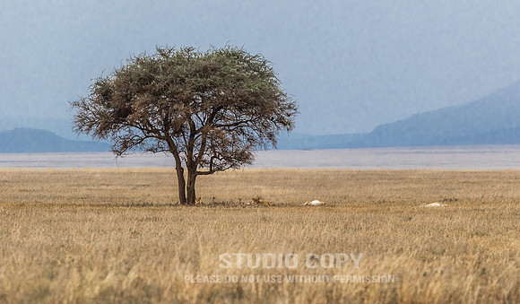 CDR_09262019_Tanzania_0034_tanzania_