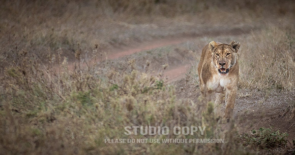 CDR_09262019_Tanzania_0122_tanzania_