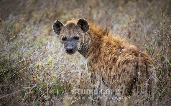 CDR_09262019_Tanzania_0264_tanzania_