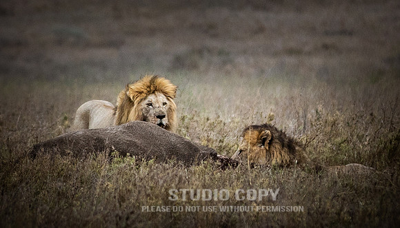 CDR_09262019_Tanzania_0281_tanzania_