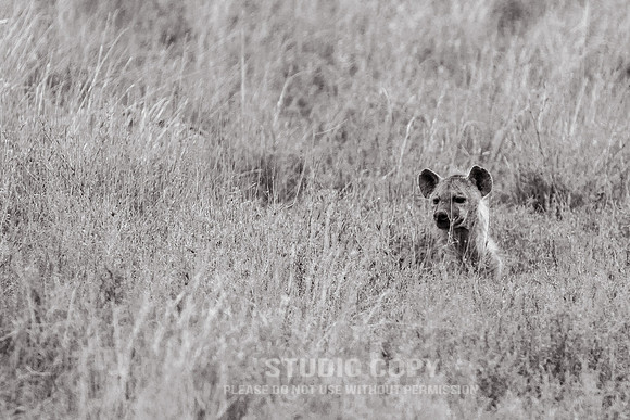 CDR_09262019_Tanzania_0293_tanzania_