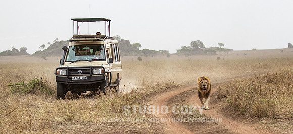 CDR_09262019_Tanzania_0422_tanzania_