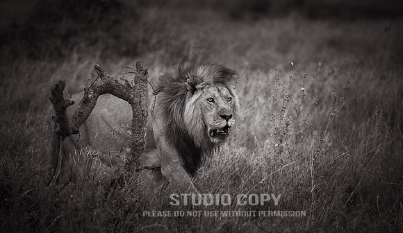 CDR_09262019_Tanzania_0437_tanzania_