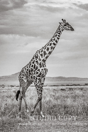 CDR_09262019_Tanzania_0499_tanzania_
