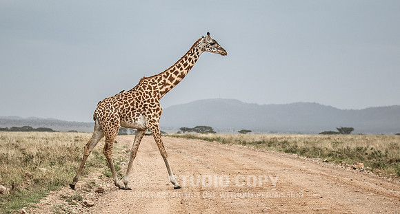 CDR_09262019_Tanzania_0506_tanzania_