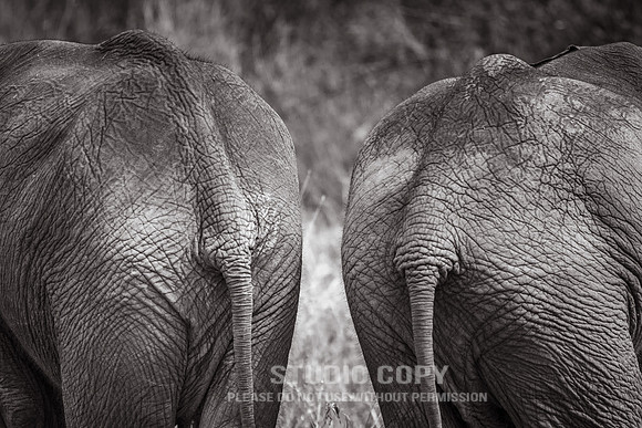 CDR_09262019_Tanzania_0571_tanzania_