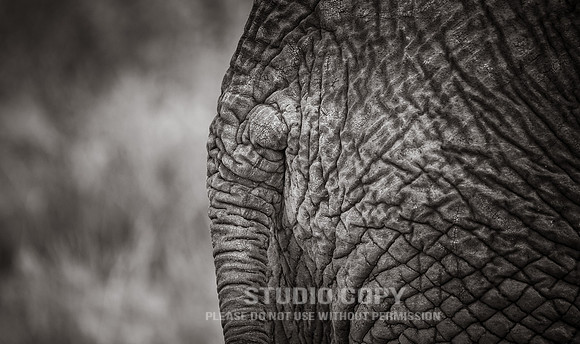 CDR_09262019_Tanzania_0594_tanzania_