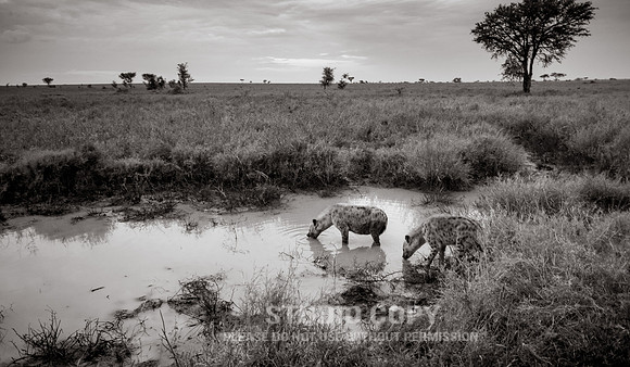 CDR_09262019_Tanzania_0895_tanzania_