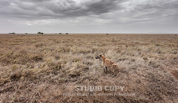 CDR_09262019_Tanzania_0926_tanzania_