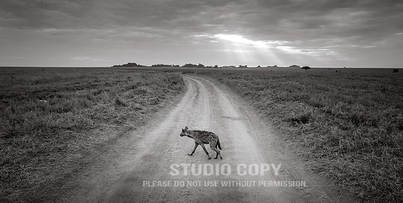 CDR_09262019_Tanzania_0954_tanzania_
