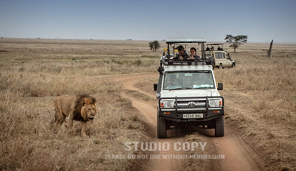 CDR_09262019_Tanzania_0974_tanzania_