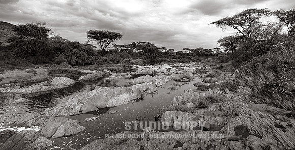 CDR_09262019_Tanzania_1027_tanzania_