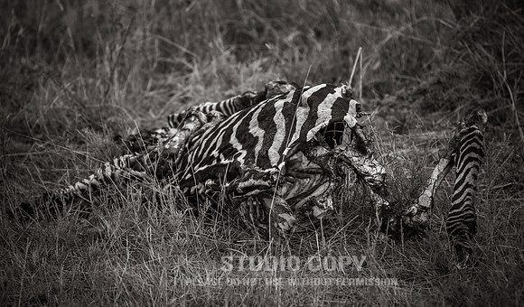 CDR_09262019_Tanzania_2016_tanzania_
