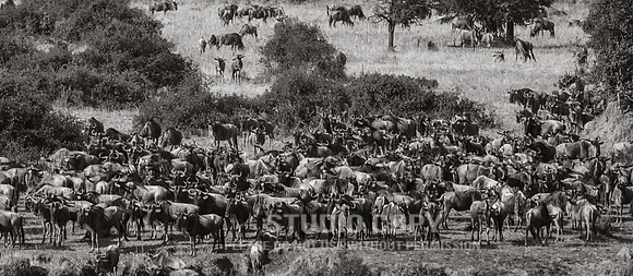 CDR_09262019_Tanzania_2054_tanzania_