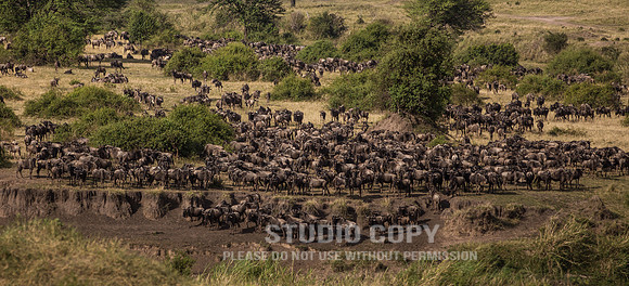 CDR_09262019_Tanzania_2056_tanzania_