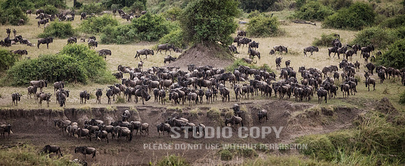 CDR_09262019_Tanzania_2088_tanzania_