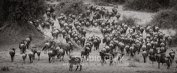 CDR_09262019_Tanzania_2092_tanzania_