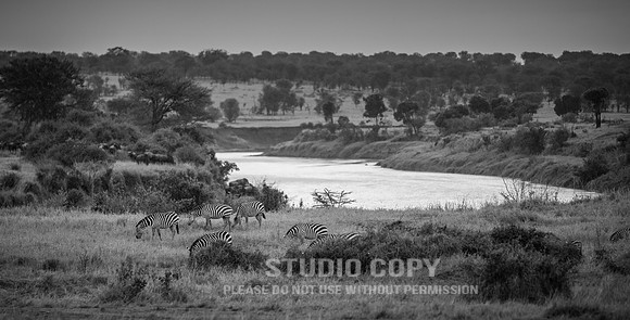 CDR_09262019_Tanzania_2099_tanzania_
