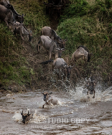 CDR_09262019_Tanzania_2186_tanzania_