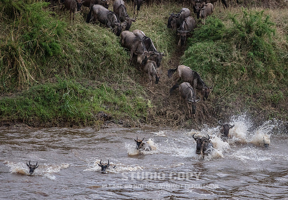 CDR_09262019_Tanzania_2188_tanzania_