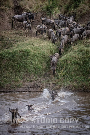 CDR_09262019_Tanzania_2246_tanzania_