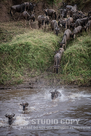 CDR_09262019_Tanzania_2247_tanzania_