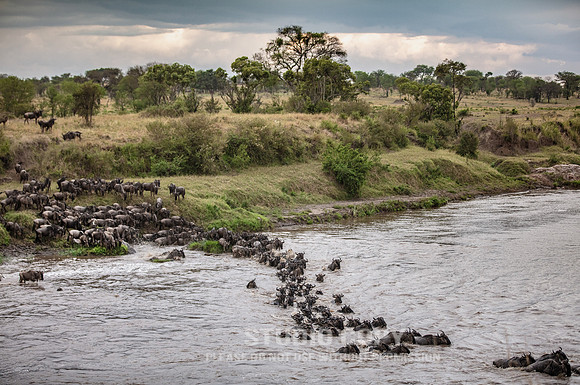 CDR_09262019_Tanzania_2304_tanzania_