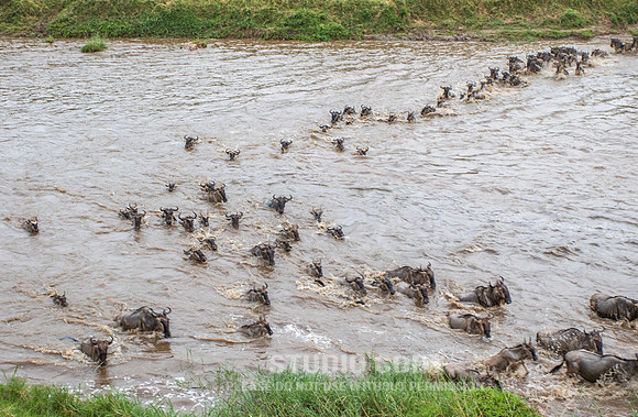 CDR_09262019_Tanzania_2340_tanzania_