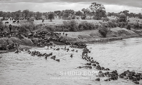 CDR_09262019_Tanzania_2320_tanzania_