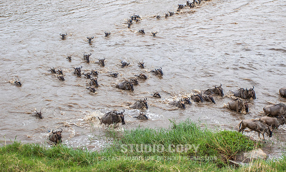CDR_09262019_Tanzania_2345_tanzania_