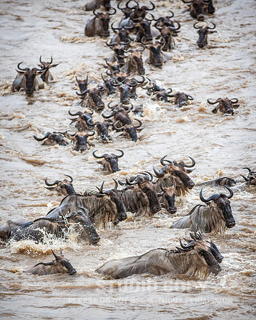 CDR_09262019_Tanzania_2348_tanzania_