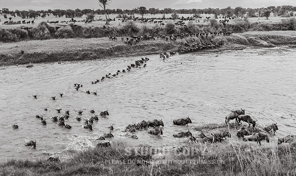 CDR_09262019_Tanzania_2349_tanzania_