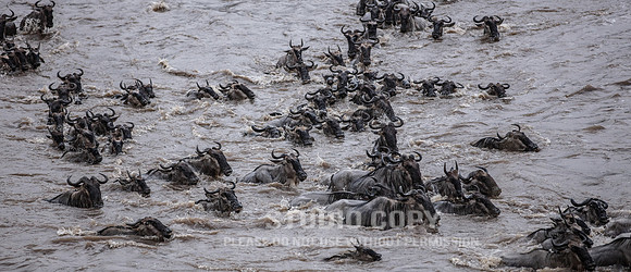CDR_09262019_Tanzania_2356_tanzania_