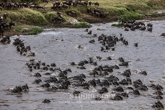 CDR_09262019_Tanzania_2363_tanzania_