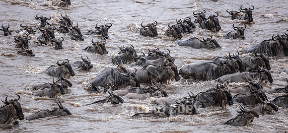 CDR_09262019_Tanzania_2364_tanzania_