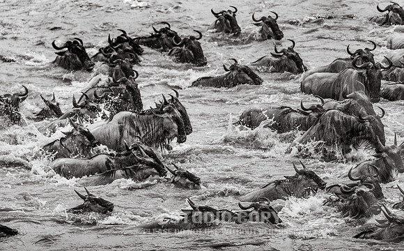 CDR_09262019_Tanzania_2367_tanzania_
