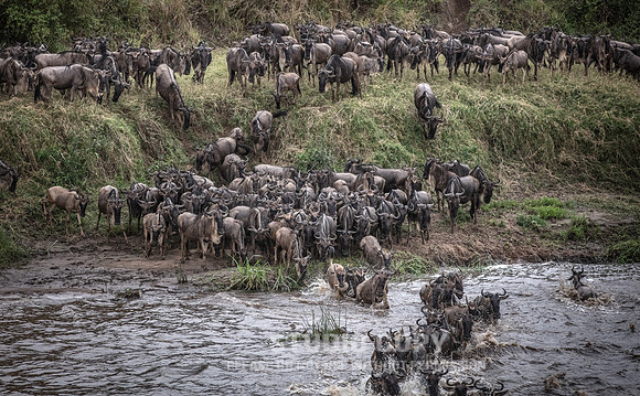 CDR_09262019_Tanzania_2373_tanzania_