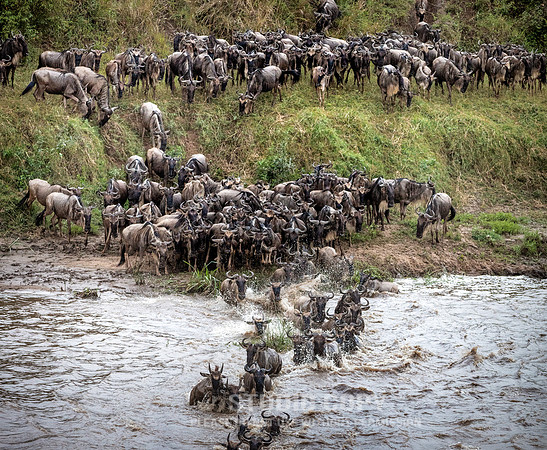 CDR_09262019_Tanzania_2377_tanzania_