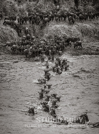 CDR_09262019_Tanzania_2378_tanzania_