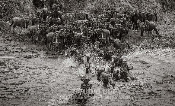CDR_09262019_Tanzania_2379_tanzania_