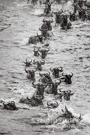 CDR_09262019_Tanzania_2380_tanzania_