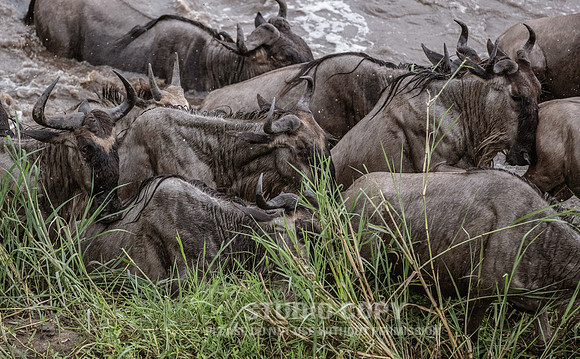 CDR_09262019_Tanzania_2386_tanzania_