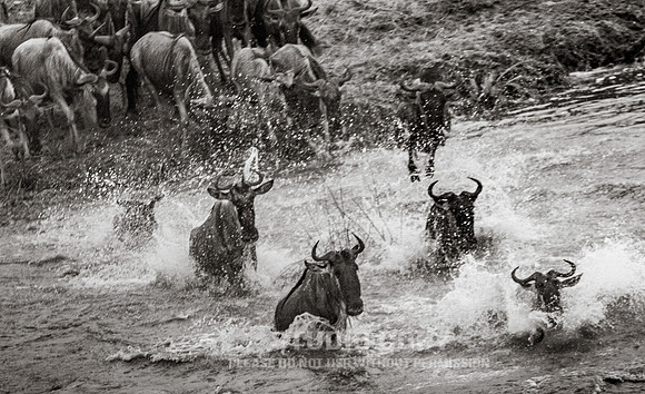 CDR_09262019_Tanzania_2408_tanzania_
