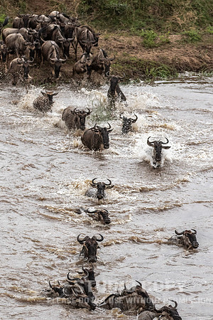 CDR_09262019_Tanzania_2411_tanzania_