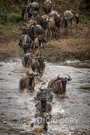 CDR_09262019_Tanzania_2433_tanzania_