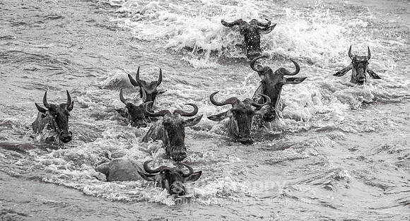 CDR_09262019_Tanzania_2460_tanzania_