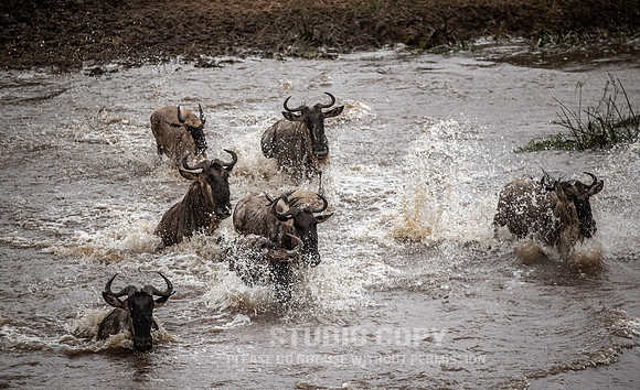 CDR_09262019_Tanzania_2473_tanzania_