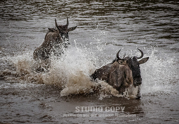 CDR_09262019_Tanzania_2520_tanzania_