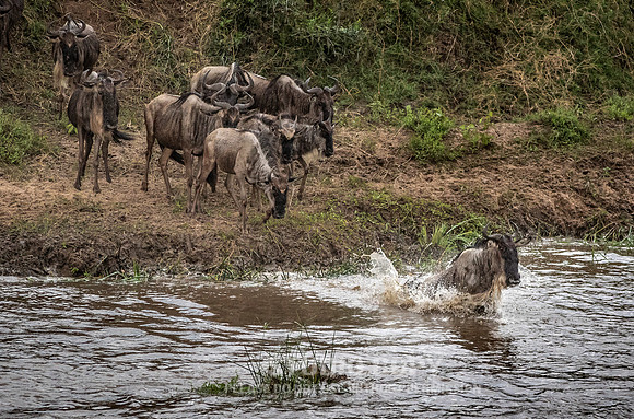 CDR_09262019_Tanzania_2554_tanzania_