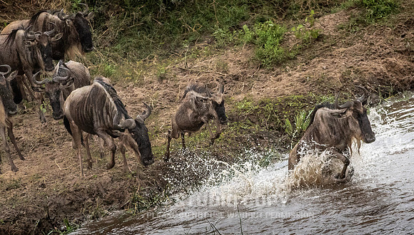 CDR_09262019_Tanzania_2564_tanzania_